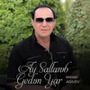 About Ay Sallanıb Gedən Yar Song