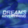 About Dreams & Everything Song