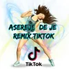Asereje De Je Remix TikTok