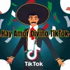 Hay Amor Divino TikTok