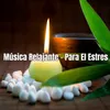 About Música Relajante - Para El Estres Song