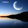 About Tornet Song