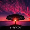 About Essenza Song