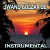 About Jwand Gulzar De Instrumental Song