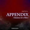 Appendix