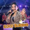 About Koco Bureng Koplo Version Song