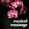 About Musical Massage, Pt. 8 Song
