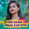 About Teri Naina Pagal Kar Diya Song