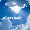 About Sky Walk Song