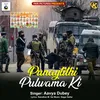 About Punaytithi Pulwama Ki Song