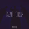 About Bad Trip Song