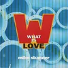What Is Love Instrumental