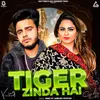 About Tiger Zinda Hai Song