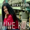 About Beklerim Song