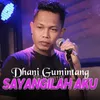 About Sayangilah Aku Song