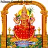 About Palintsu Kamakshi Pavani Song