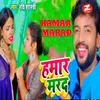 About Hamar Marad Song