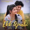 About Ekk Ajnabi Song