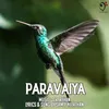 About Paravaiya Song