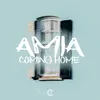 About Coming Home Song