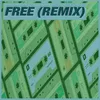 Free Instrumental Remix