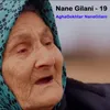 About Nane Gilani, Vol. 19 Song