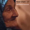 About Nane Gilani, Vol. 17 Song