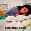 Sleep with Lofi Beats