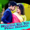 About Deewana Mui Tor Pyara Deewana Song