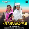 About Hai Aapu Aadiwasi Song