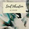 About Soul Vibration Song