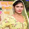 Ratu Bhi Tu Na Hare Mewati Song Shahin Chanchal