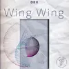 About Wing Wing Song