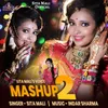 About Mashup 2 Song
