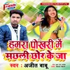 About Hamra Pokhari Me Machhali Chhor Ke Ja Song