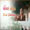 About Demi Cinta Song