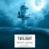 About Twilight Song