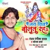 About Jai Shiv Bolat Raha Song