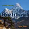 About Bichhod Song