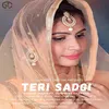 About Teri Sadgi Song