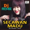 Secawan Madu Dj Remix