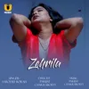 About Zehrila Song