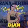 About Ning Nong Ning Gung Song