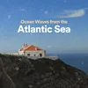 Soundtrack of the Ocean