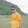 About Tugel Song