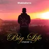 Big Life