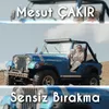 About Sensiz Bırakma Song