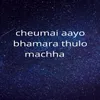 Cheumai Aayo Bhamara Thulo Machha