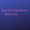 About Barilai Dhanna Banche Song