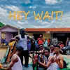 About Hey Wait Song